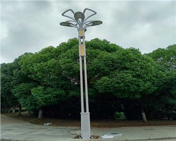 湖北武漢市政景觀路燈項(xiàng)目 湖北武漢市政景觀路燈項(xiàng)目